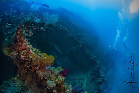 Scuba Dive The S.S. Yongala Wreck On The Great Barrier Reef. - Book Restaurant 3
