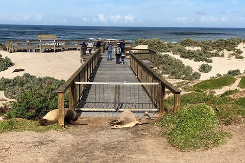 Kangaroo Island 4WD Tour - Best Of KI - Book Restaurant 2