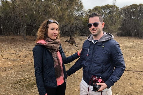 Kangaroo Island 4WD Tour - Best Of KI - Book Restaurant 3