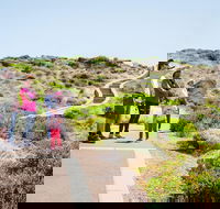 Margaret River Coastal and Wildlife Eco Trip from Busselton or Dunsborough - Book Restaurant