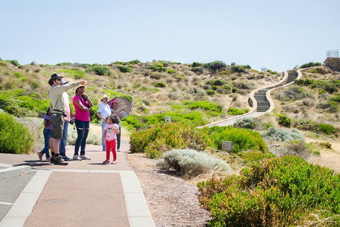 Margaret River Coastal And Wildlife Eco Trip From Busselton Or Dunsborough - Book Restaurant 0