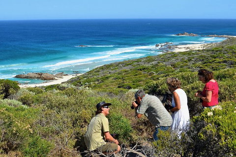 Margaret River Coastal And Wildlife Eco Trip From Busselton Or Dunsborough - Book Restaurant 2