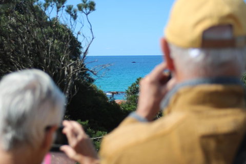 Margaret River Coastal And Wildlife Eco Trip From Busselton Or Dunsborough - Book Restaurant 5